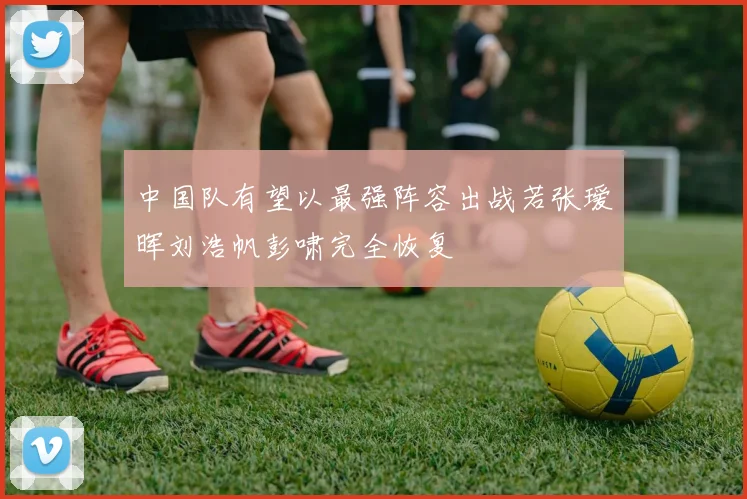 中国队有望以最强阵容出战若张瑷晖刘浩帆彭啸完全恢复